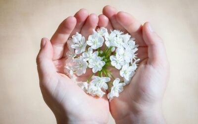 Can I Get Help With Pregnancy Expenses if I Choose Adoption?